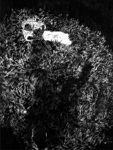Image Description